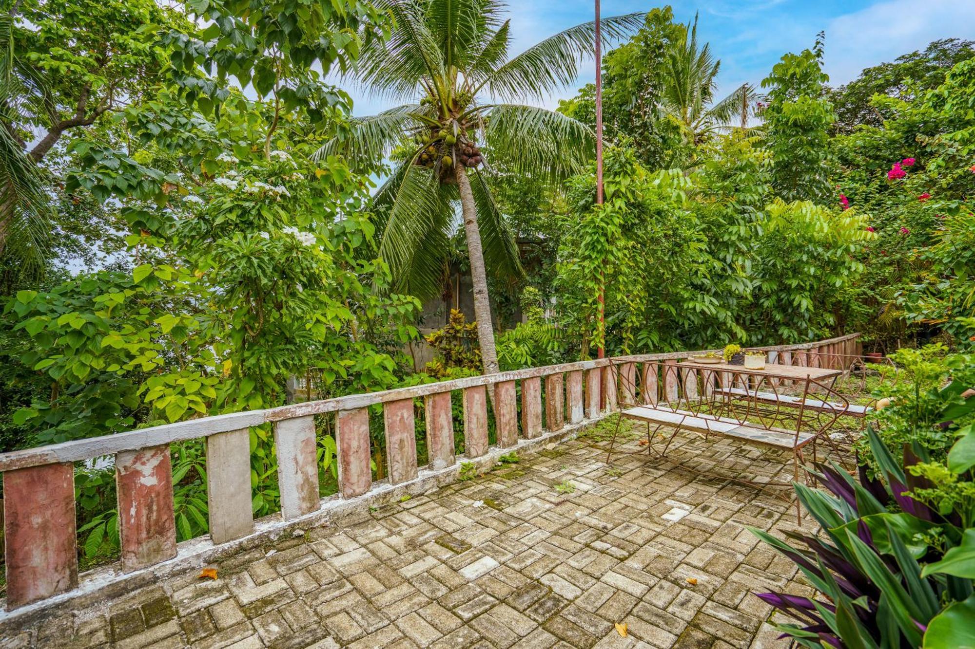 Weyh'S Studio #1 By The Ocean 100Mbps Panglao-stad Buitenkant foto